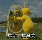 示例图片